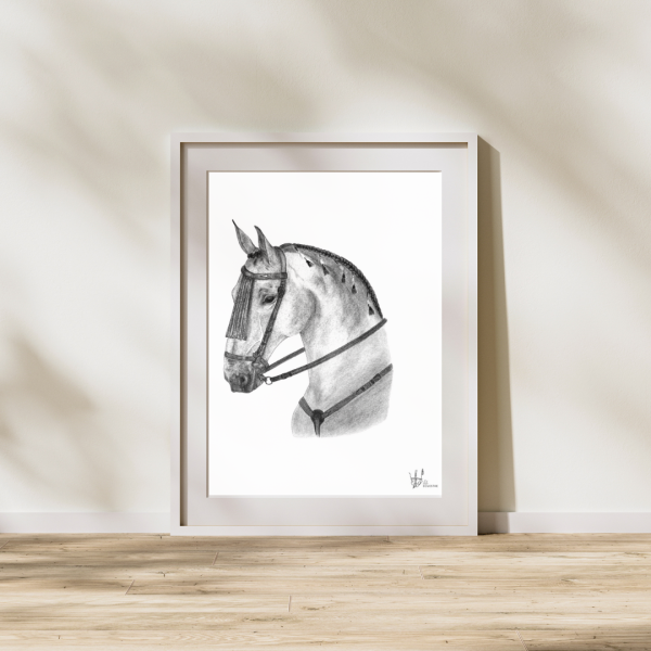 Lámina Caballo en Blanco y negro