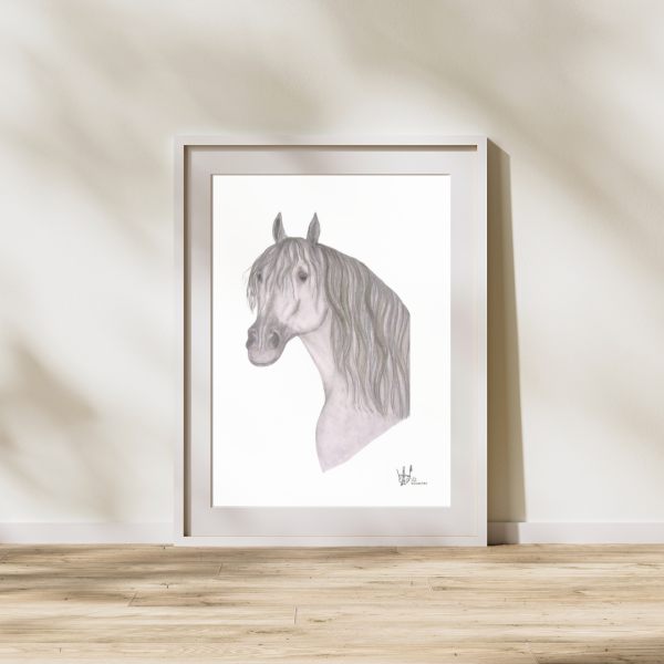 Lámina Caballo Español